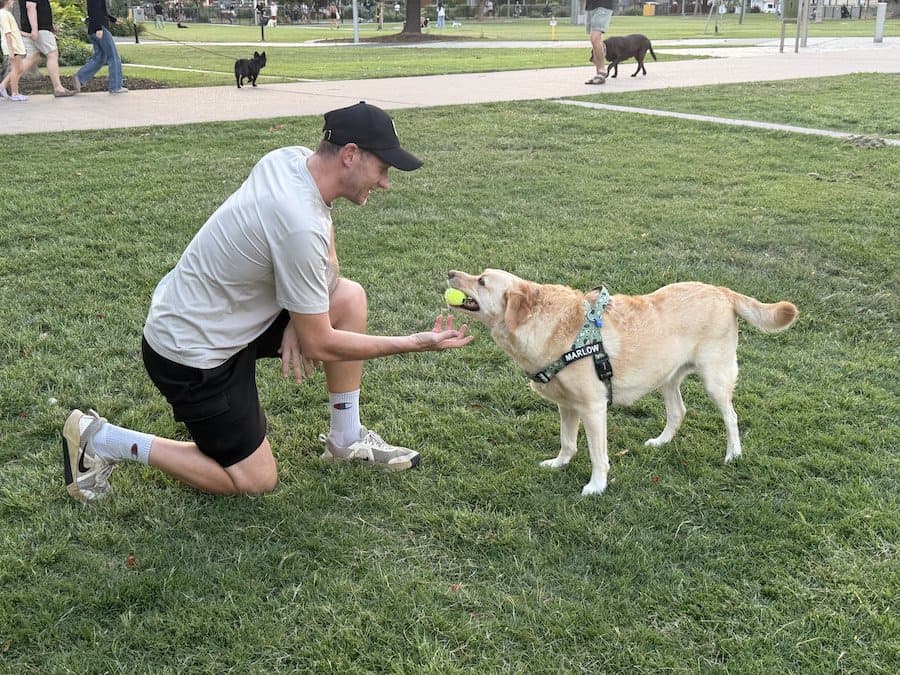 Walks and Training